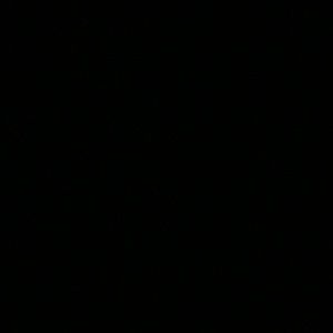 Meet your Posher, Celia